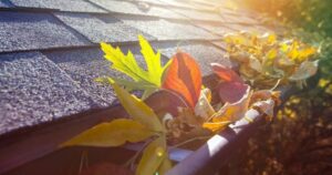 Leaves in gutters.2109211329203