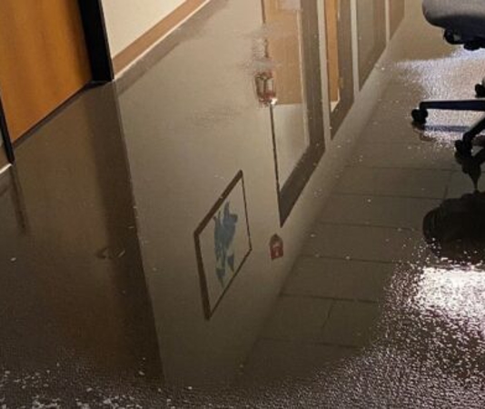 business office 750x330 1 difference between water damage.2109041422550