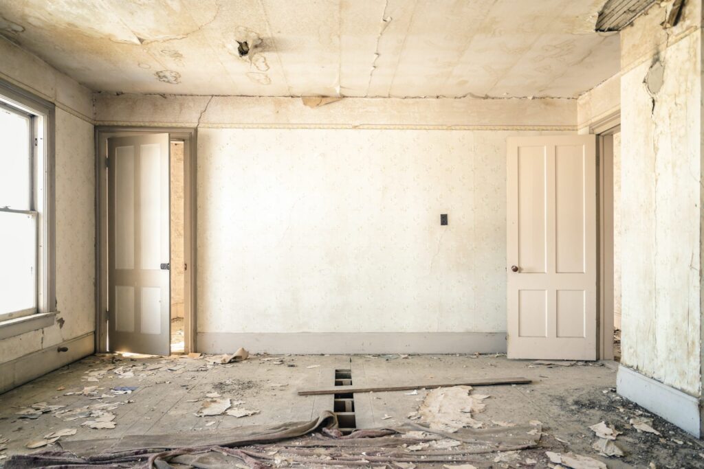 mold remediation