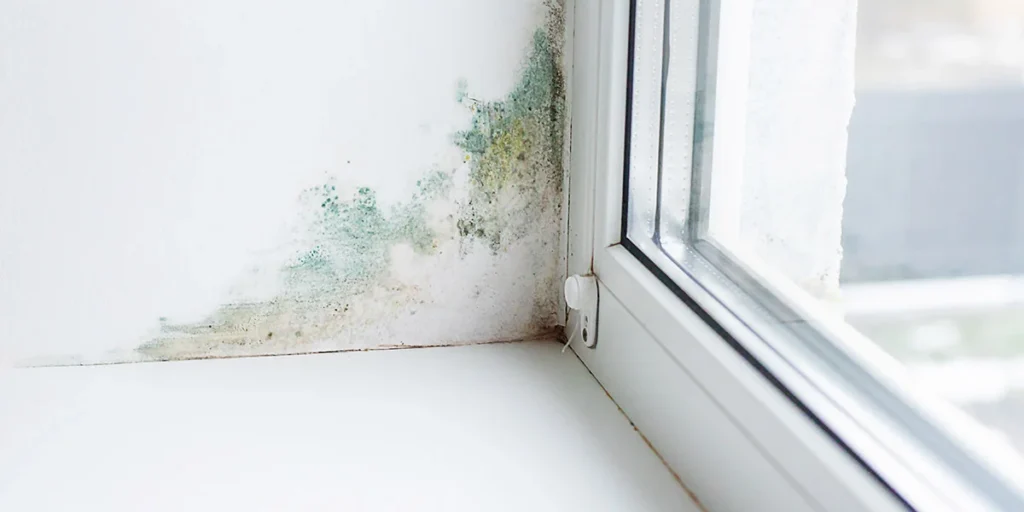 Slope near the window fungus moisture. Selective focus.