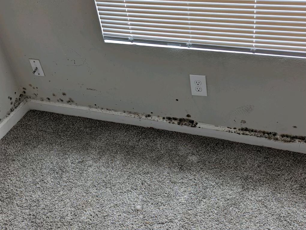 A wall with mold on the wall.