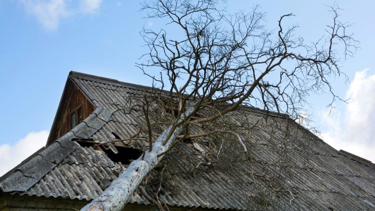 A roof with a large tree collapsed across it after a storm.