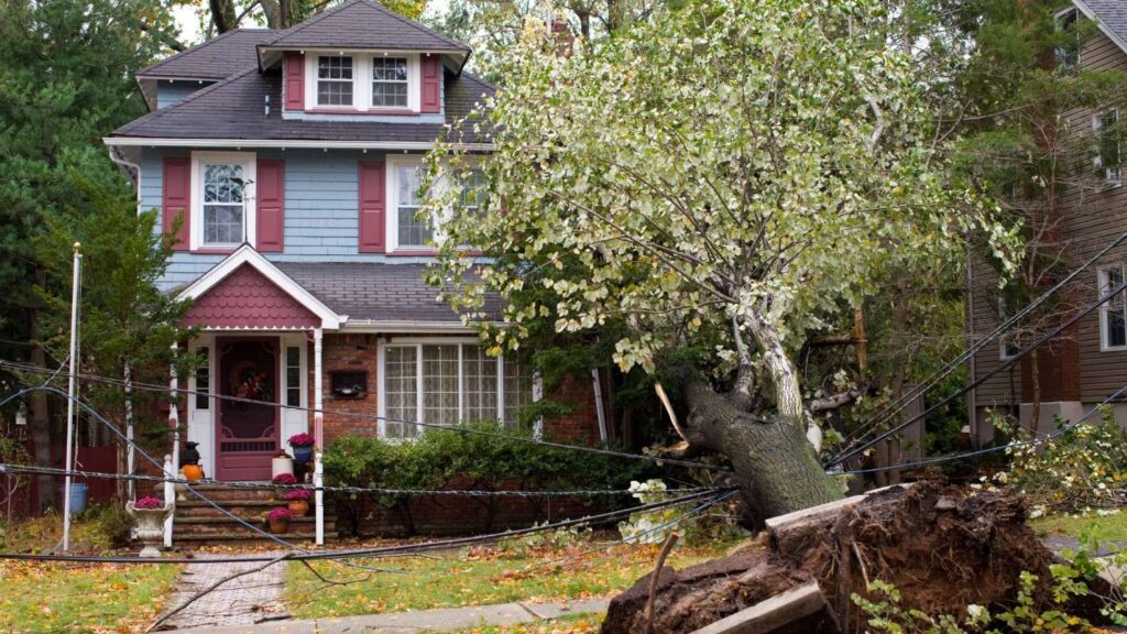 An old house with a tree fallen over in the front yard, taking down nearby power lines.