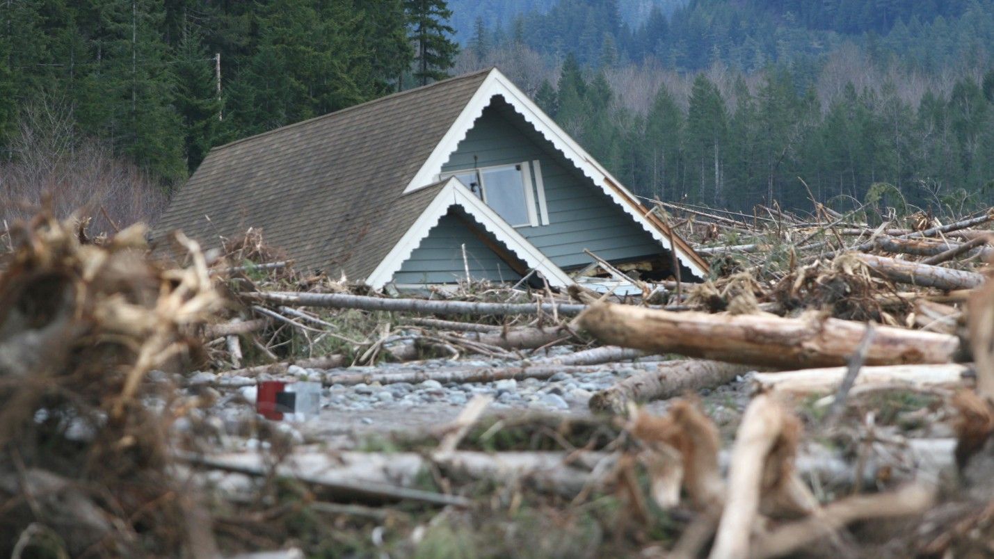 A destroyed house surrounded by fallen trees after a storm.