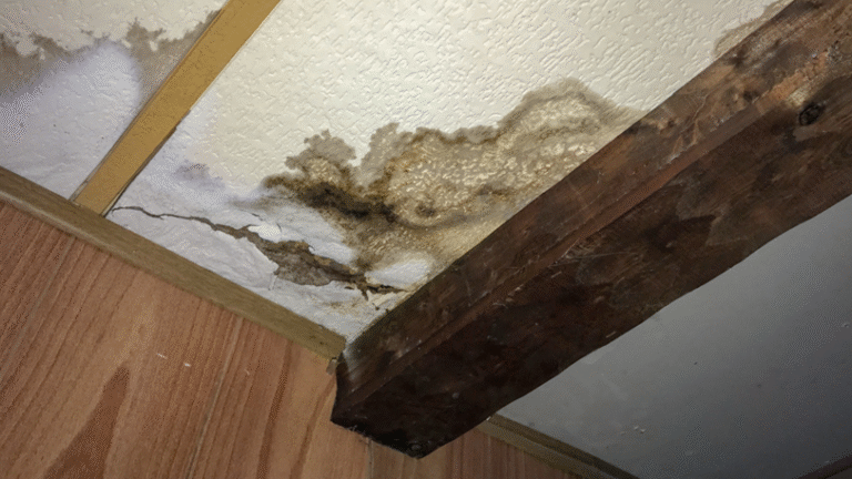 A discolored splotch on the ceiling, indicating water damgage.